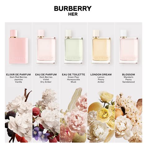 burberry her elixir de parfum notes|burberry her perfume chemist warehouse.